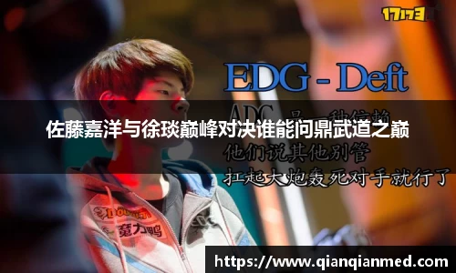 佐藤嘉洋与徐琰巅峰对决谁能问鼎武道之巅